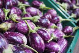 Aubergines